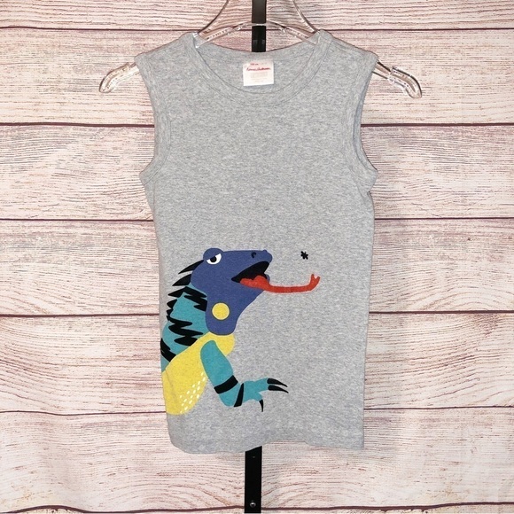 Hanna Andersson Grey Iguana Tank Top Size 12 - Picture 1 of 7